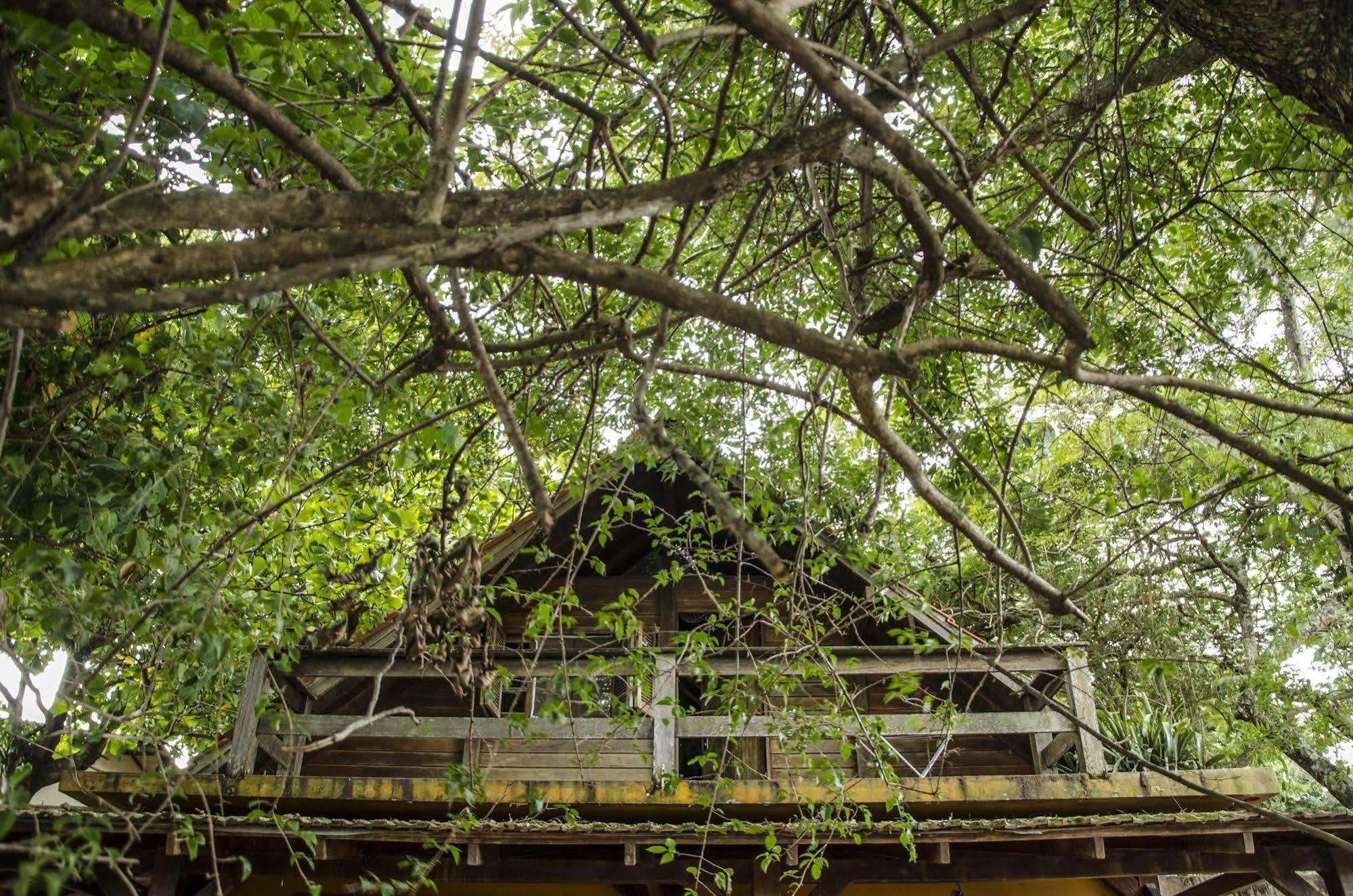 Sagui Hostel Florianópolis Exteriér fotografie